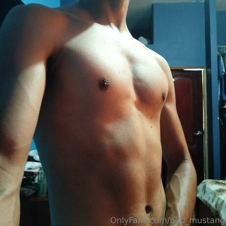 Bad Mustang pornstar nice images