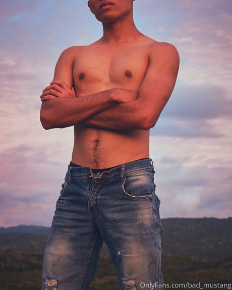 Bad Mustang nice model galleries