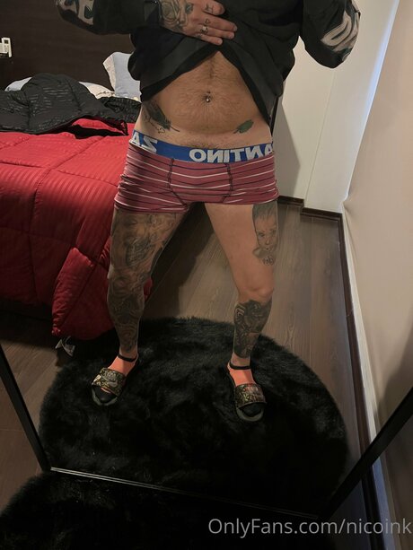 Nicoink high quality star image