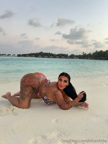 Elliechloe model pornographic galleries