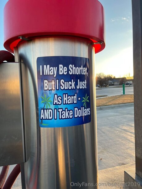 Bsecret2019 sex star images