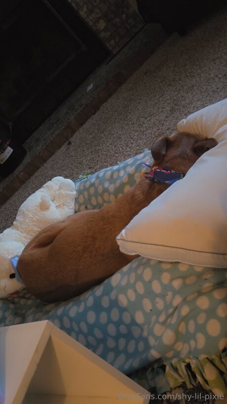 fitness princess onlyfans hot images