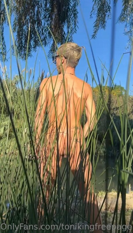 Tonikingfreepage star beautiful photo