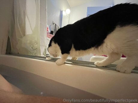 Beautifullyimperfectgeek model free archive