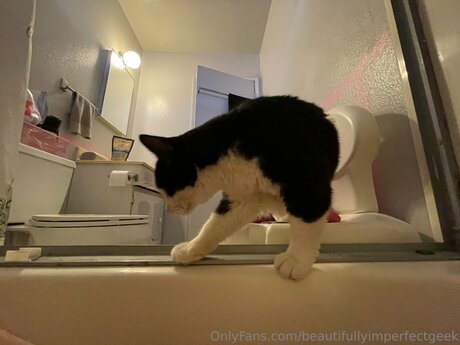 Beautifullyimperfectgeek star sex pic