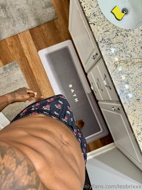 Leobrixxx adult actress images