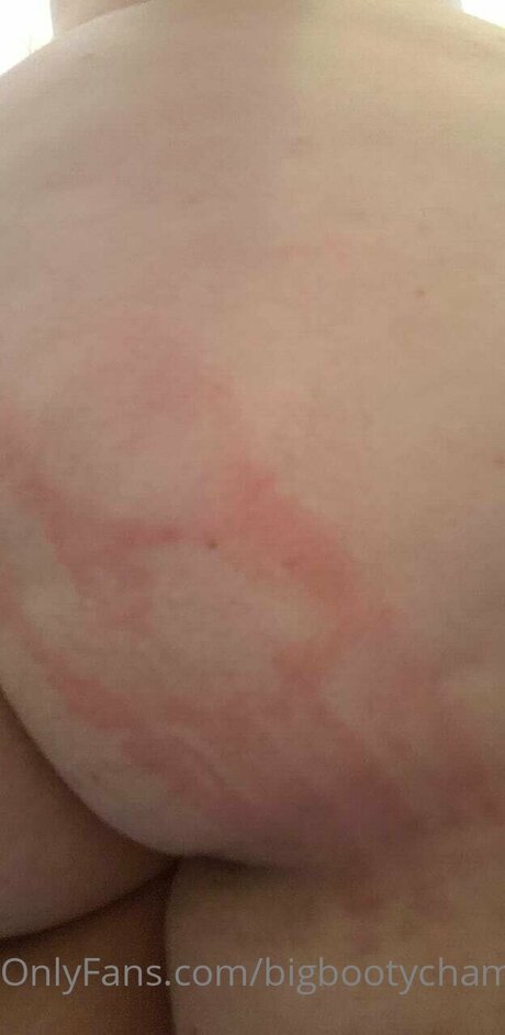 Bigbootychampagne hd actress galleries