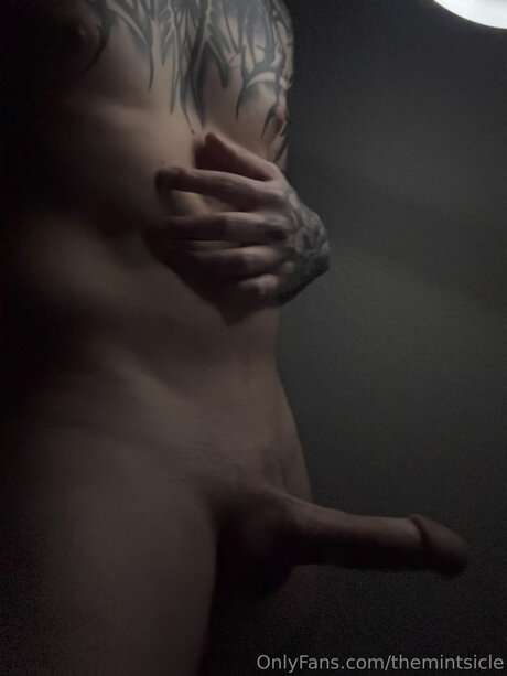 Themintsicle adult star photos