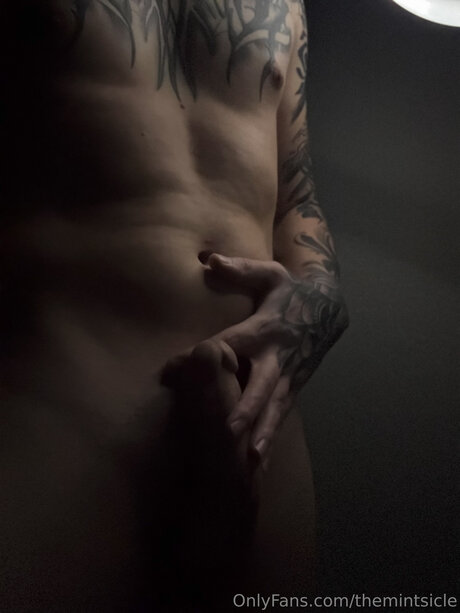 Themintsicle perfect actress img