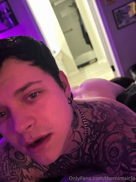 Themintsicle high quality model archive