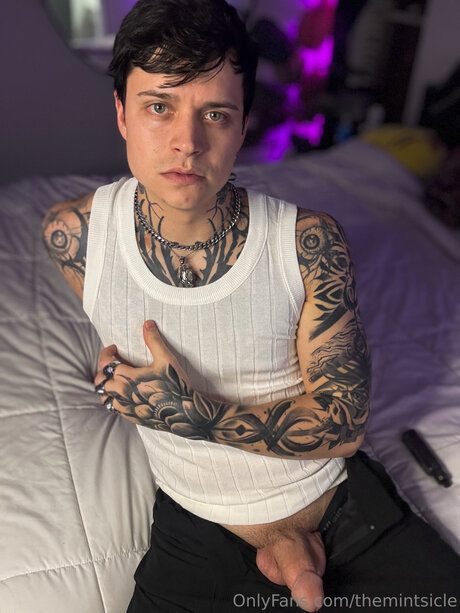 Themintsicle art actress photos