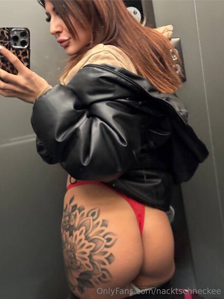 Nacktschneckee exclusive star galleries