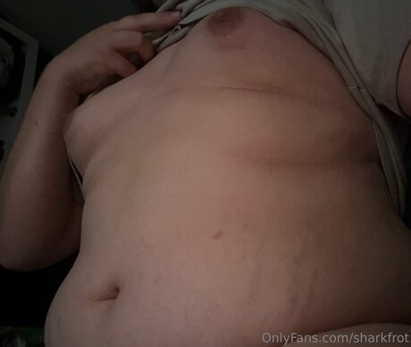 Sharkfrot erotic pornstar pictures