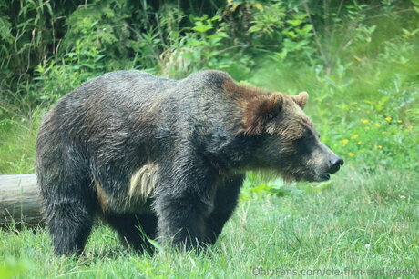 milf pantyhose onlyfans beautiful nude image