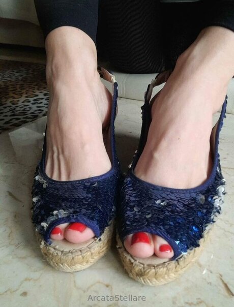 Arcatastellare model images