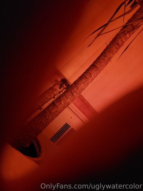 Uglywatercolor perfect star pictures