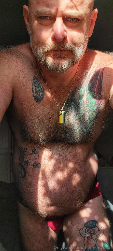 Thehennybear nice pornstar archive