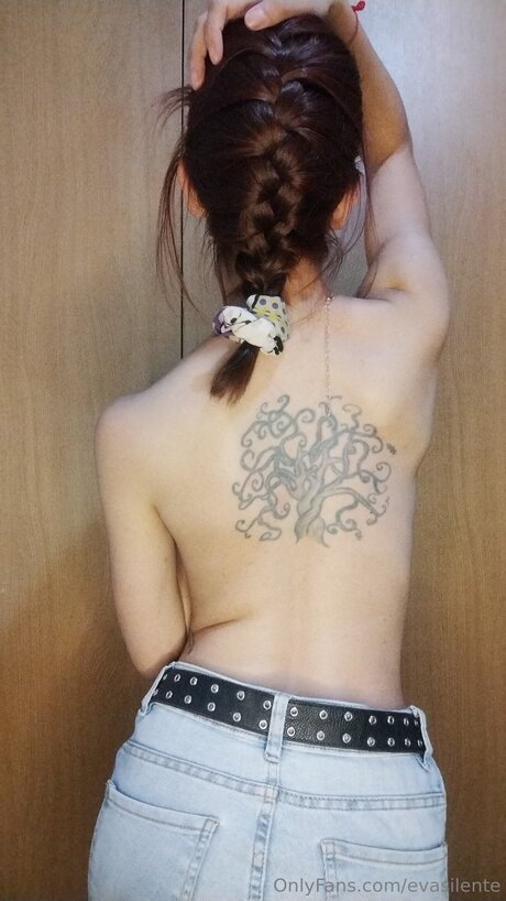 Evasilente star beautiful galleries