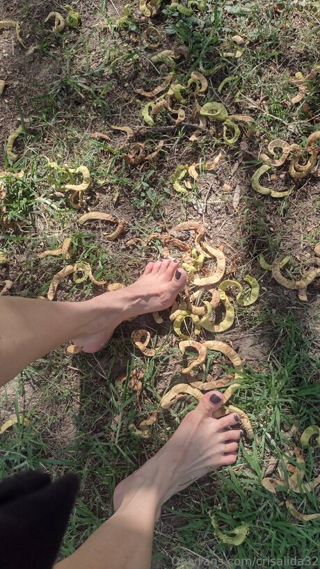 Crisalida32 star perfect image