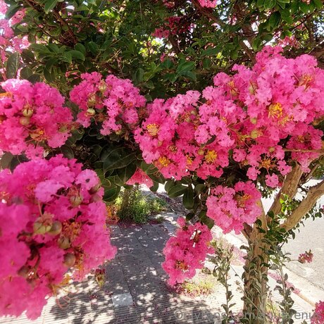 anal gape onlyfans beautiful image