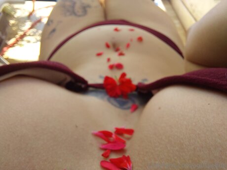 Agusvenus xxx star photos