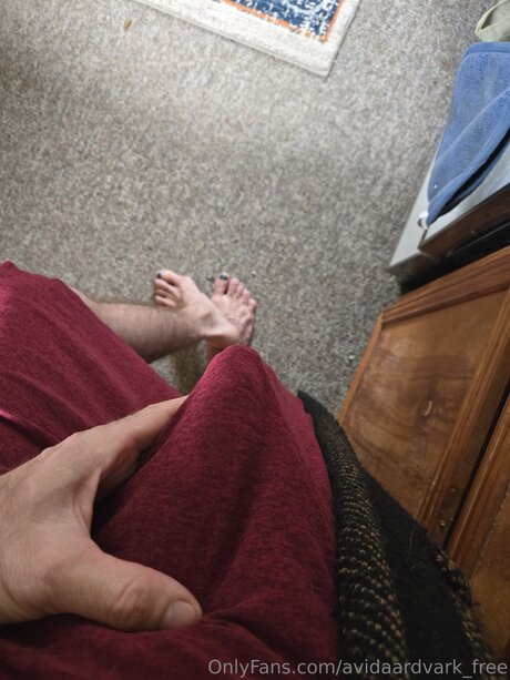 Avidaardvark Free star archive