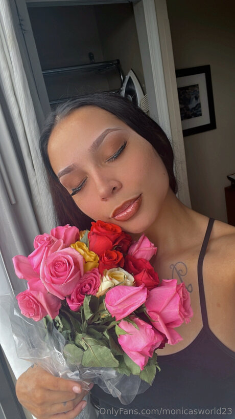 Monicasworld23 star pretty images