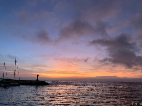 Brunabyers xxx star image