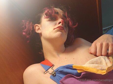 Jacxalope star erotic img