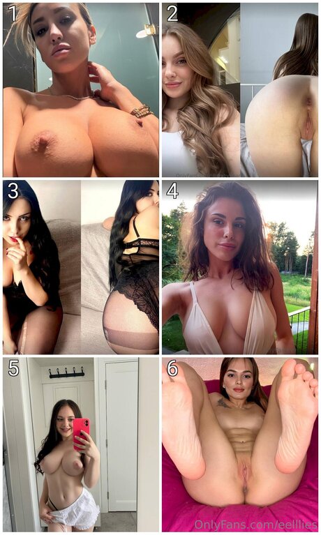 Eelllies best star galleries