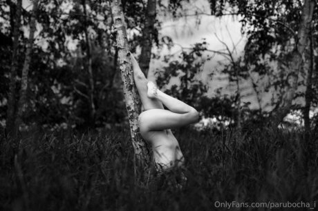 Parubocha I high quality star img