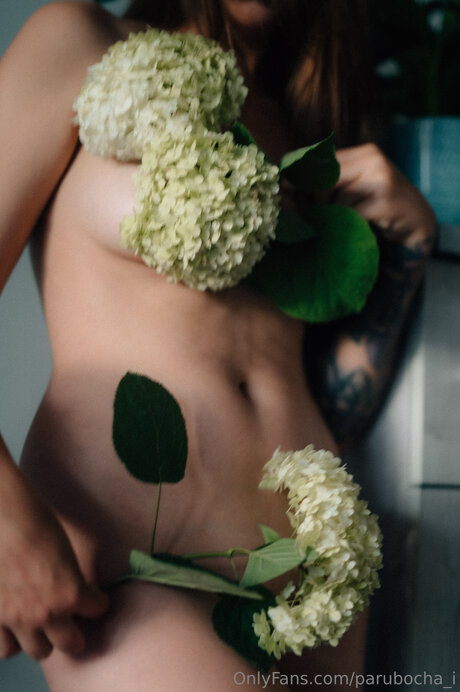 bukkake onlyfans sexy nudes galleries