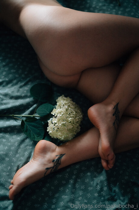 facial pov onlyfans best image