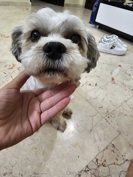 naked asian onlyfans sexy nudes pics