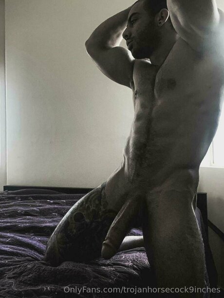 Trojanhorsecock9inches perfect pornstar image