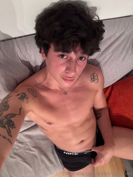 Dimitrysimonit model top archive