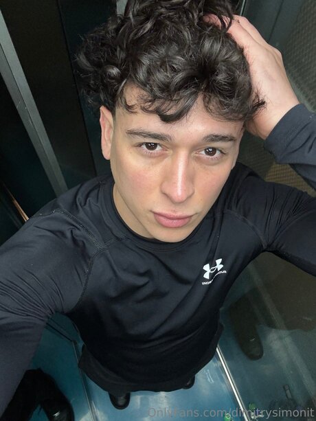 Dimitrysimonit model high quality pic