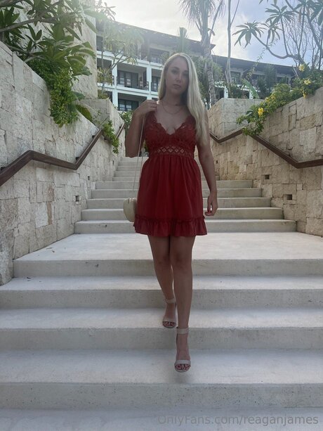 Reaganjames art pornstar picture