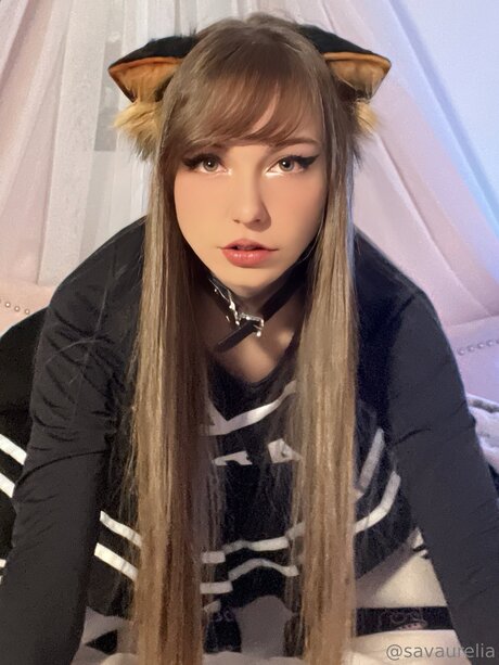 Savaurelia star hot image