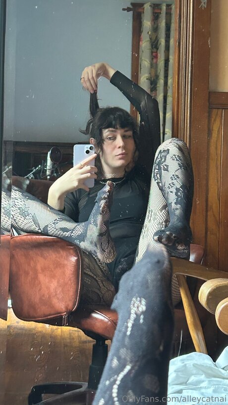 Alleycatnai star best img