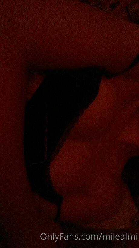Milealmi perfect pornstar photo
