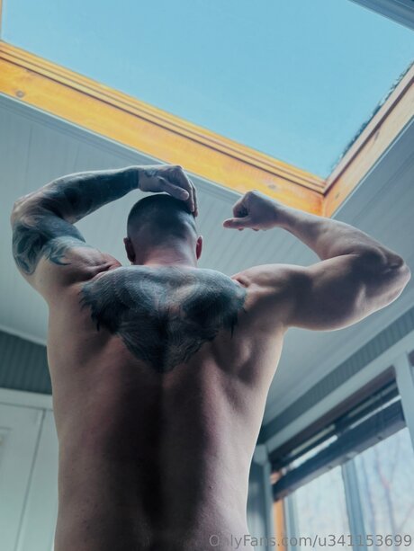 U341153699 star beautiful picture