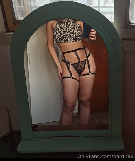 Parditax star sexy archive