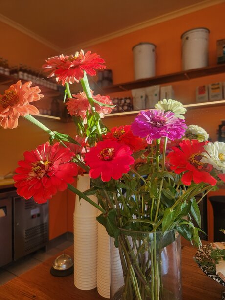 Helloeloise pornstar exclusive photo