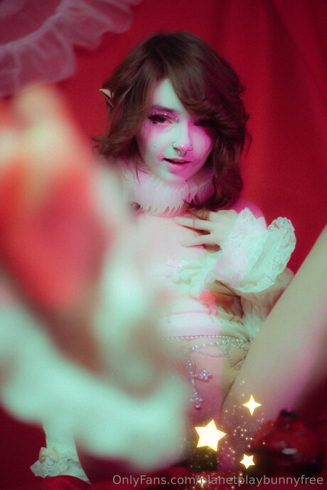 Planetplaybunnyfree model art archive