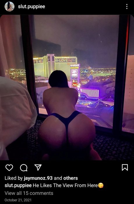 Slut Puppie pornstar erotic img