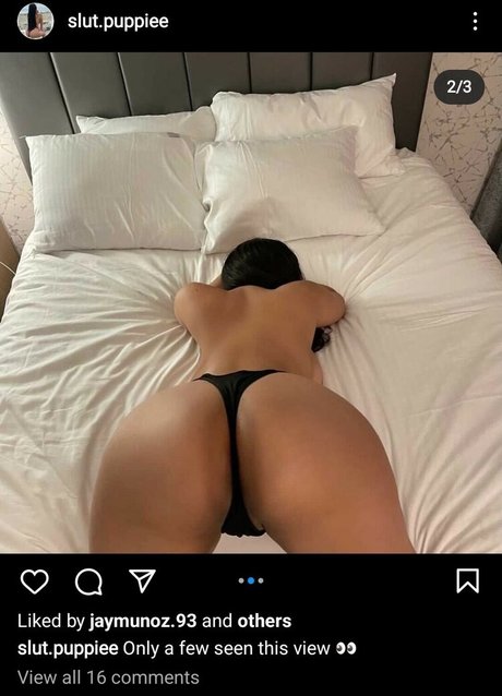 Slut Puppie star beautiful pictures