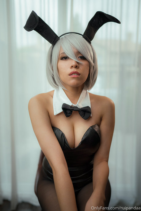 Ruipandaa model high quality photo