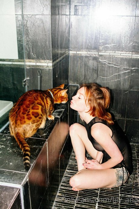 lily ana pornstar sex picture