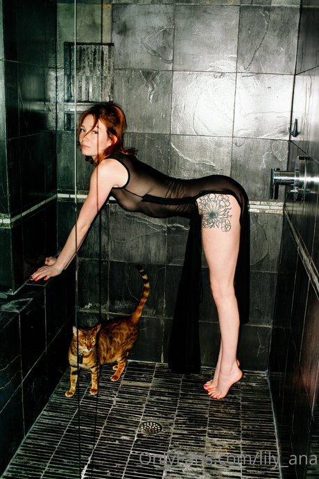 lily ana nice star archive